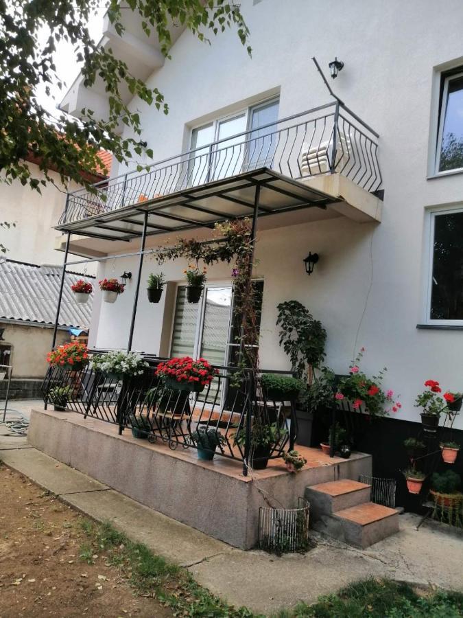 Apartment Mihajlovic Вране Экстерьер фото